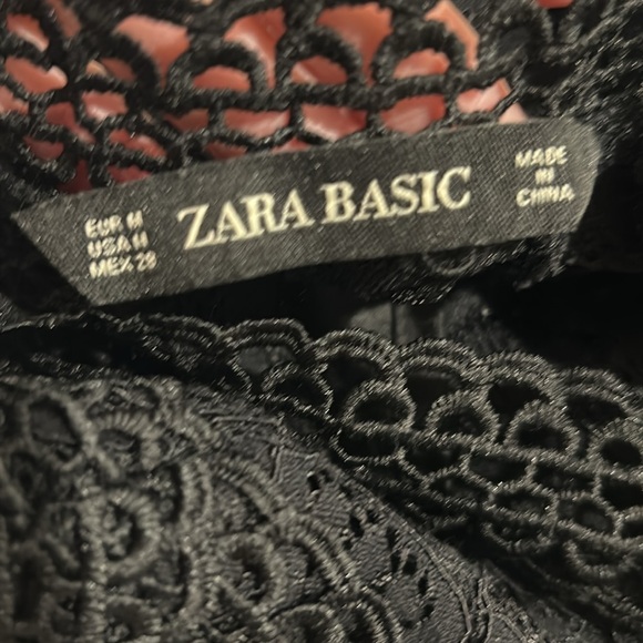 Zara Basics Lace & Pleated Dress - Picture 8 of 14